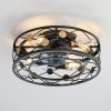 18in Black Low Profile Caged Ceiling Fan With Remote Light(7-Blade)