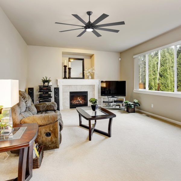 65/72-Inch Ceiling Fan With Light And Remote, 8-Blade DC Motor, Dual-Finish Plywood Blades, 3-Color Temperature, 6-Speed Reversible Ceiling Fan For Large Rooms