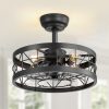 16.5-In Black Enclosed Caged Ceiling Fan With Remote Light(7-Blade)